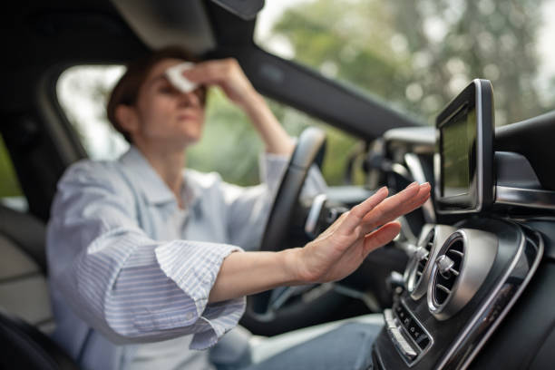 Best Thermostats and Smart Controls in Lovejoy, GA
